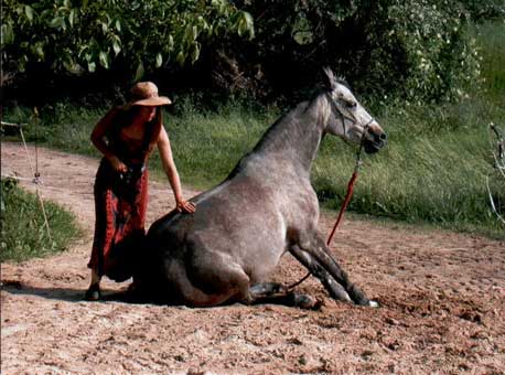 Ritu C. Wendt in Arbeit mit ihre Pferde